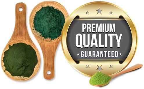 premium quality product logo