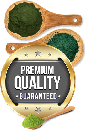 premium quality product logo